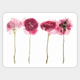 flower Sticker